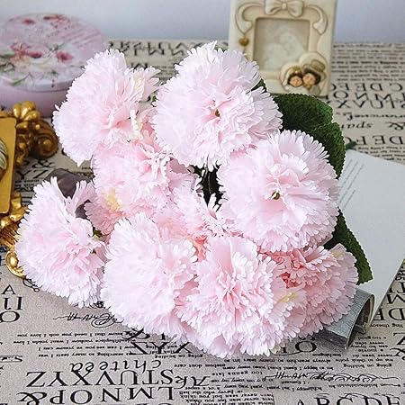 Joycetan Imitation Artificielle Fleur Mariage Gros Bouquet Oeillet Imitation Fleur Maison Souple Montage Photo De Mariage Manuel Bricolage 6 Rose Pale 6 Amazon Fr Cuisine Maison