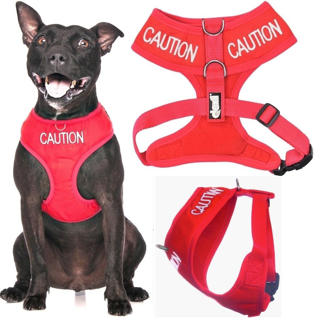Dexil CAUTION (Do Not Approach) Red Colour Coded Non-Pull Front and Back D Ring Padded and Waterproof Vest Dog Harness PREVENTS Accidents By Warning Others Of Your Dog In Advance (M)