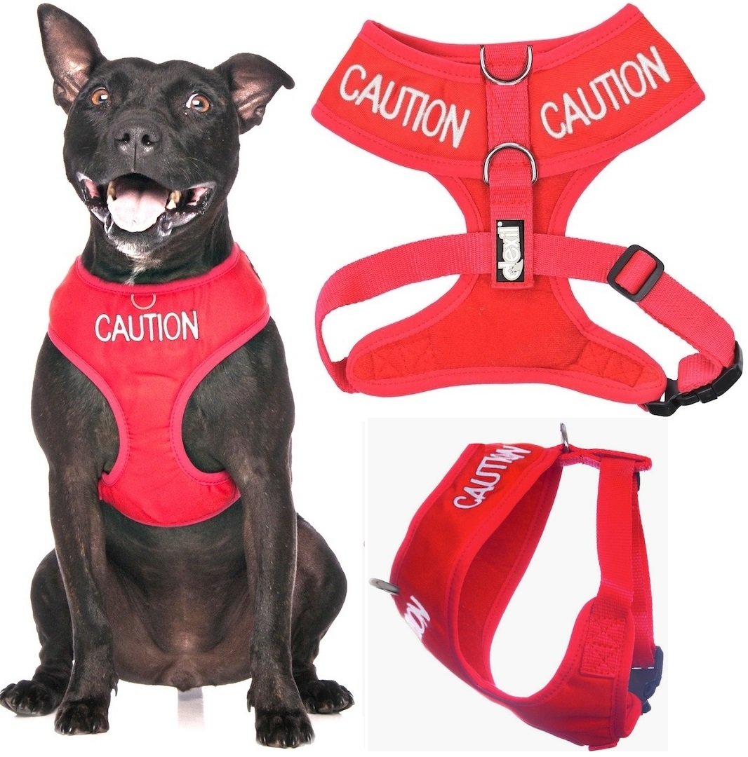 Dexil CAUTION (Do Not Approach) Red Colour Coded Non-Pull Front and Back D Ring Padded and Waterproof Vest Dog Harness PREVENTS Accidents By Warning Others Of Your Dog In Advance (M) โ image 1