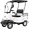 HAOWEIH Electric Golf Cart 4 Wheel Mobility Scooter for Seniors with Storage Box, Farm Load Truck for Seniors and Adults Comes, Courtesy Car (Color : White, Size : LITHIUM-800W+60V30AH)