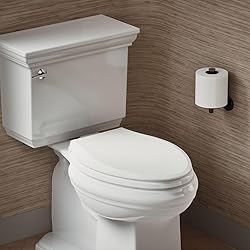 Kohler Recycled Plastic Soft Close Toilet