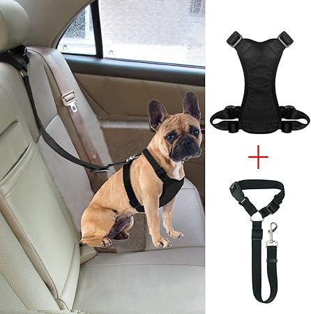 amazon dog seat belt