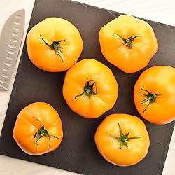 Eden Brothers Tomato Seeds - Azoychka Non-GMO Seeds