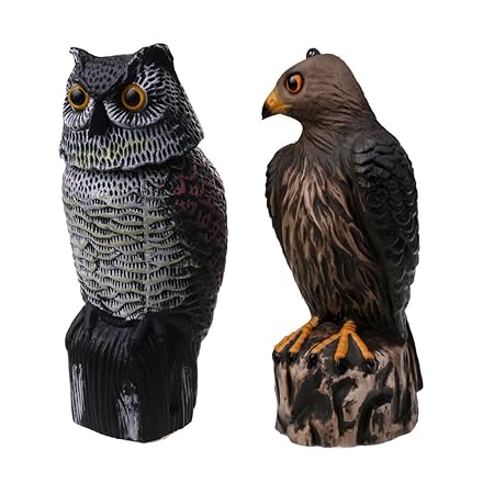 Homyl 2 Pieces Realistic 3D Owl & Rotating Head and Eagle Decoy Hunting Bird Pigeon Scarer Scarecrow