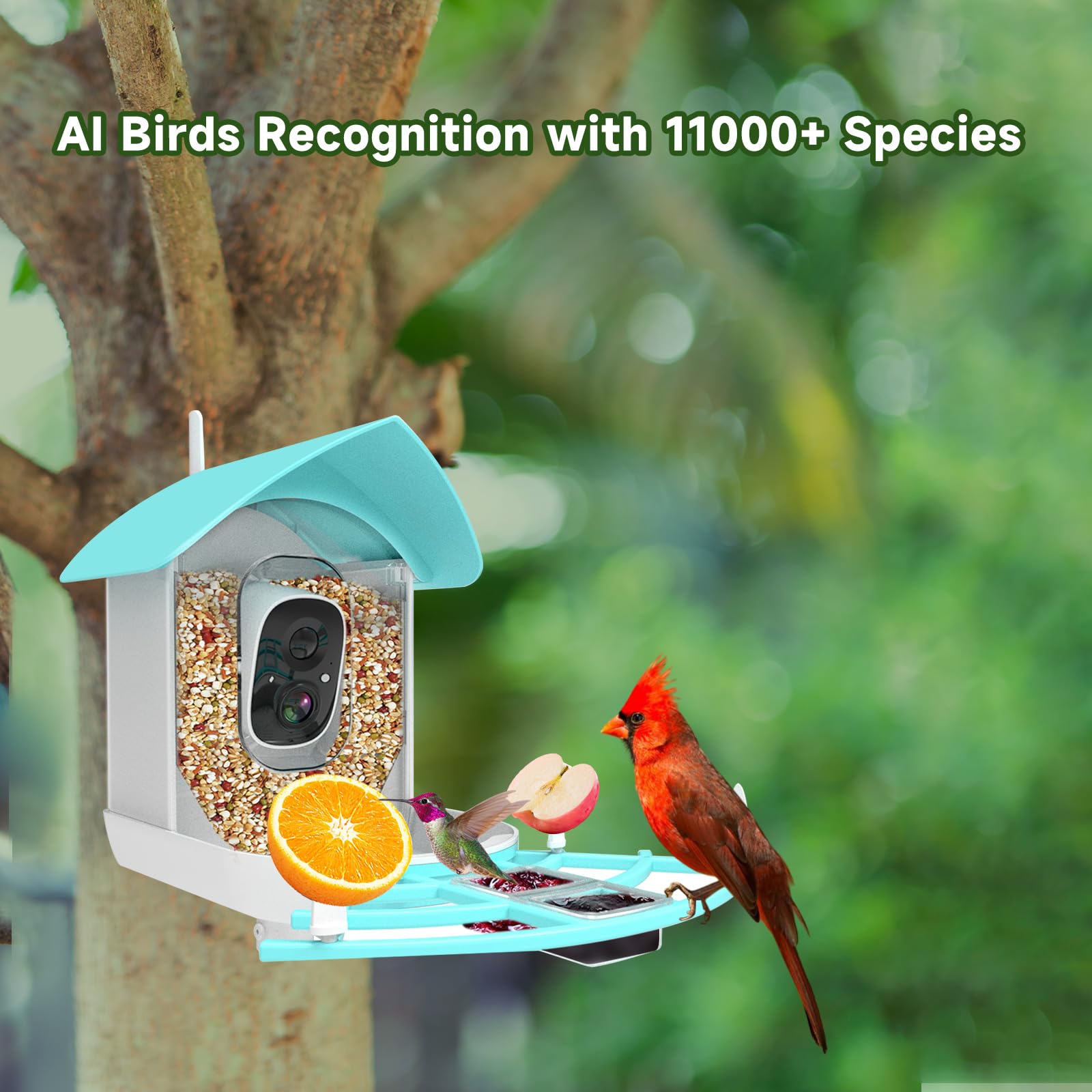 Gyozol Smart Bird Feeder with Camera,AI Identify Birds Breed,Solar Powered WiFi FHD 2K Live View Camera,Auto Capture Video,Backyard Garden Bird Watching,Motion Detection,Cloud and SD Card Storage,Blue