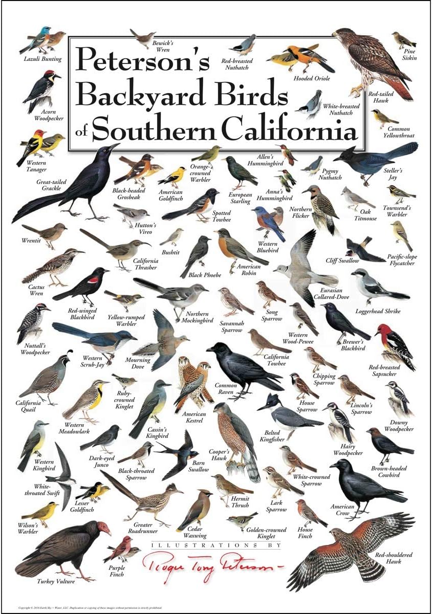 Amazon Com Earth Sky Water Poster Peterson S Backyard Birds