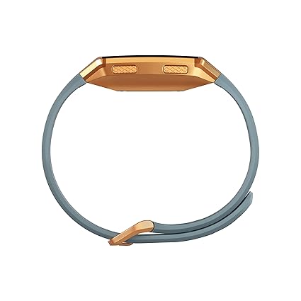 fitbit fb503cpbu ionic smartwatch