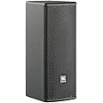 JBL Professional AC25 Ultra-Compact 2-Way Loudspeaker with Dual 5.25-Inch Drivers, Black