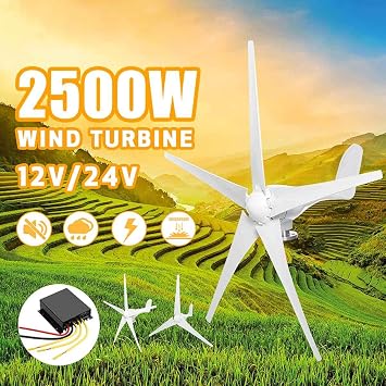 Renzhen 2500 Watt Windkraftanlagen Generator 12 V 24 V 3 5