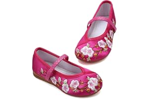 ANPROITY Encanto Costume Shoes Mary-Jane Flats Shoes Round Toe Low Wedge Ballet Flats Floral Embroidery Shoes for Girls Halloween Cosplay Dress Up