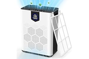 DAYETTE Air Purifiers for Home Large Room, H14 Hepa Air Cleaner Up to 3000 Ft² with Washable Filters, Air Quality Monitor, 22dB Sleep Mode for Pet Hair Dander