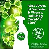 Dettol Antibacterial Surface Cleaning Spray Lime & Mint 750 ml Pack view 5