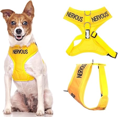 Vest Dog Harness PREVENTS Accidents 