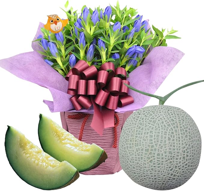 Amazon 敬老の日 花 ギフト りんどう 鉢植え 青 マスク メロン セット フラワー プレゼント ほんまもん屋 Hanaファクトリー メロン 通販 Amazon 敬老の日 花 ギフト りんどう 鉢植え 青 マスク メロン セット フラワー プレゼント ほんまもん屋 Hanaファクトリー メロン 通販