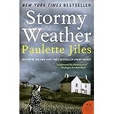 Stormy Weather: A Novel