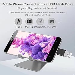 Welldiea USB C to USB Adapter 4 Pack, Type C Male