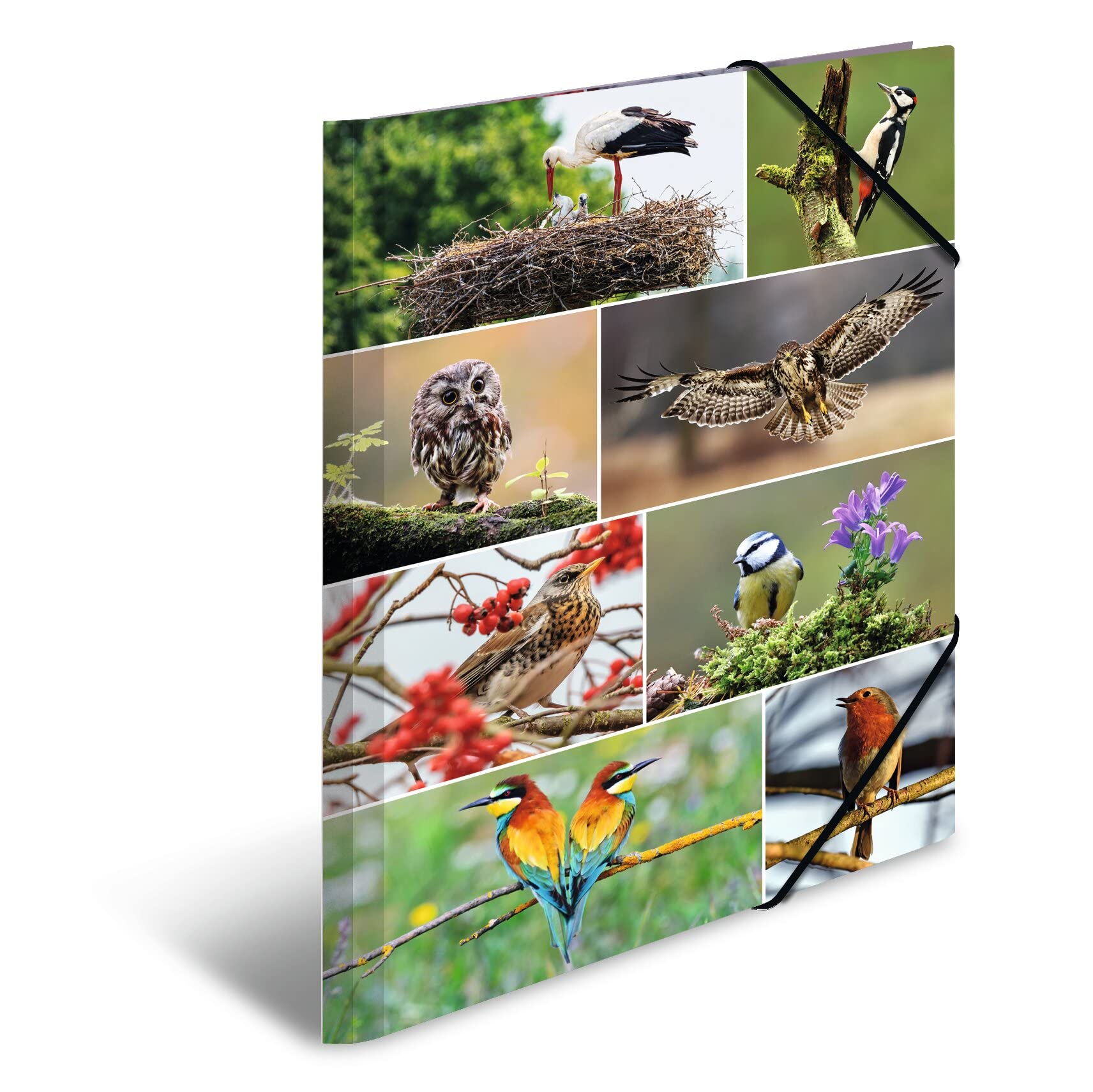 HERMA Portfolio Folders A3 Birds Set of 3 Children's Cardboard Corner Folder with Animal Motif, Elastic Band, Inner Flaps and Inner Print for Boys and Girls