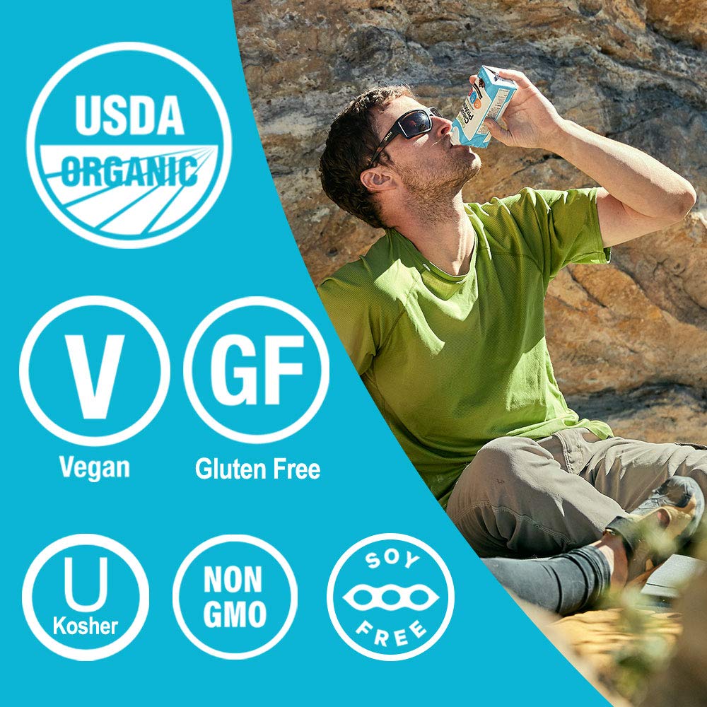 Orgain Organic Vegan Plant Based Nutritional Shake, Smooth Chocolate - Meal Replacement, 16g Protein, 21 Vitamins & Minerals, Dairy Free, Gluten Free, 11 Ounce, 12 Count (Packaging May Vary) : Grocery & Gourmet Food