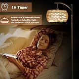 Rayofly Arc Floor Lamp with Dimmable LED 3 Color Temps, Remote view 6