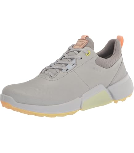Amazon.com: Biom Hybrid 4 BOA Gore-TEX Waterproof, Black/Magnet