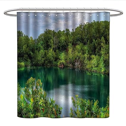 Amazon Com Anshesix Forestpattern Shower Curtainpulau Ubin