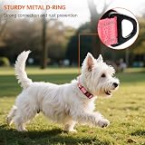 Taglory Reflective Nylon Dog Collar XS Pink Safety Buckle Neoprene Padding view 2