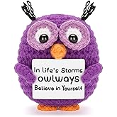 Dalycro Positive Crochet Animals Handmade Owl with Encouragement Card Crochet Owl Gifts for Women Room Office Car Decor