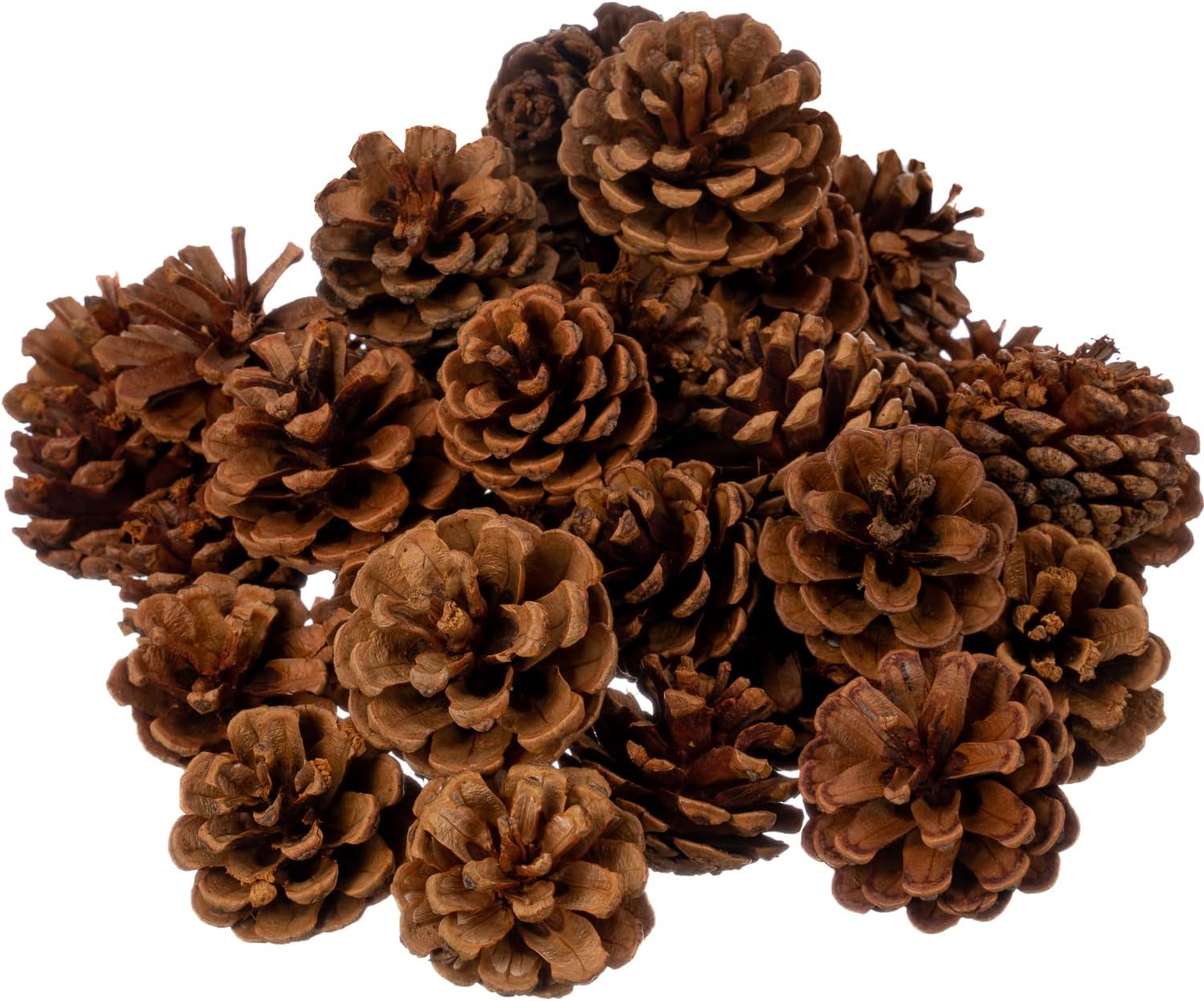Vase Fillers - Cinnamon Scented Pinecones for Decorating - 1lb (40) Pack Small Cinnamon Pine Cones for Crafts and Vase Filler - Cinnamon Fragrance Pine Cones - Decorative Pinecones - Mini Pine Cones -Pine Cone Decor