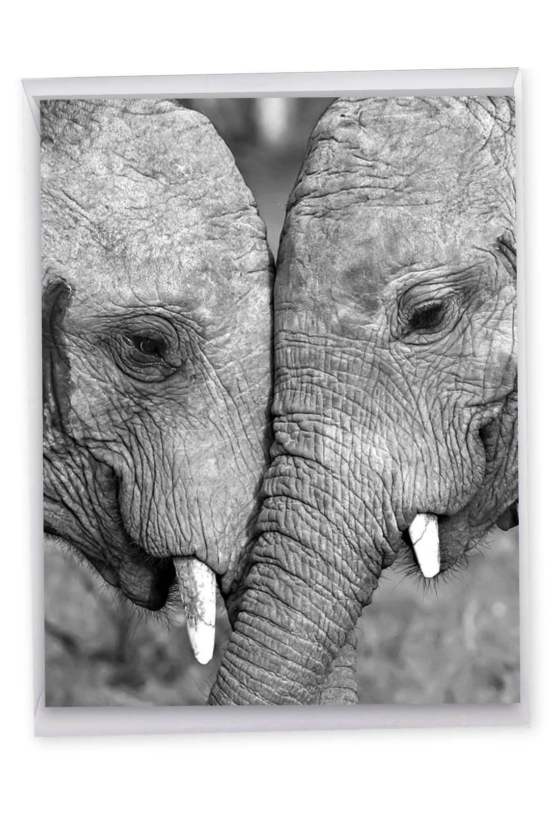 The Best Card Company - Happy Anniversary, Wedding Anniversary Jumbo Greeting Card (8.5 x 11 Inch) - Love, Romantic Card for Wife, Husband - Trunks of Love J2370BANG