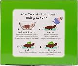Diabolical Grow Your Own Hairy Beaver Funny Gift Brand Diabolical view 4