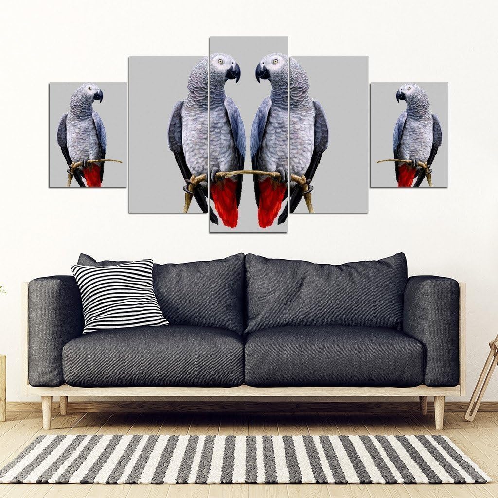 astoriagears African Grey Parrot (The Grey Parrot) Print 5 Piece Framed Canvas 24" W x 21" H Frame