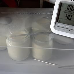 Leogreen - Yogurtera, Maquina para Hacer Yogur Casero, 7 tarros ...