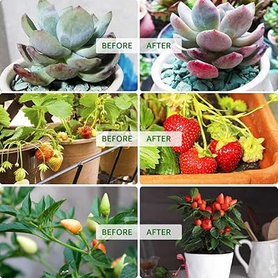 Buy Olafus 6 Pack Grow Light Bulbs 7w Indoor Led Plant Light Bulb A19 E26 Replace Up To 100w Full Spectrum Grow Lamp For Diy Indoor Plants Flowers Greenhouse Indoor Garden Hydroponic