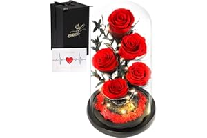 DHOEM Preserved Rose in Glass Dome Birthday Forever Flowers for Delivery Prime Women, Eternal Fresh Rose Flowers for Mom, Valentines Gifts for Her(Red Rose)