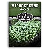 1 Pack Broccoli Microgreens Seeds for Planting and