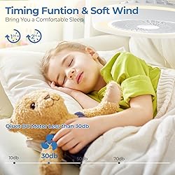 Modern Ceiling Fans with Lights - 19 inch Low