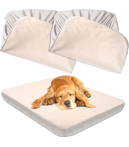 Xl Dog Bed Paw Inspired Waterproof Fitted Cover For Dog Bed Dog Bed Xl