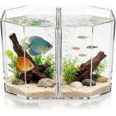 Toyvian Fish Separation Box with Removable Divider Dual Compartment Isolation Hatchery for Betta Safe Breeding Tank for Tropical Fish and Fry Aquarium Incubator 7.87X4.72X4.33In