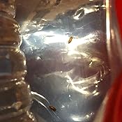 カスタマー画像