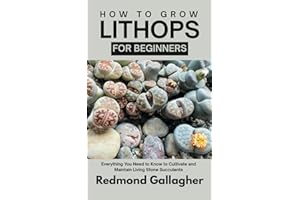 How to Grow Lithops for Beginners: Everything You Need to Know to Cultivate and Maintain Living Stone Succulents