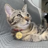 EDSG Personalised Pet Tags Deep Engraved Stainless Steel Gold Round 25-50mm view 8