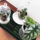 LERWAY Seedling Heating Mat 21W Waterproof 25.4x50.8cm for Germination view 8