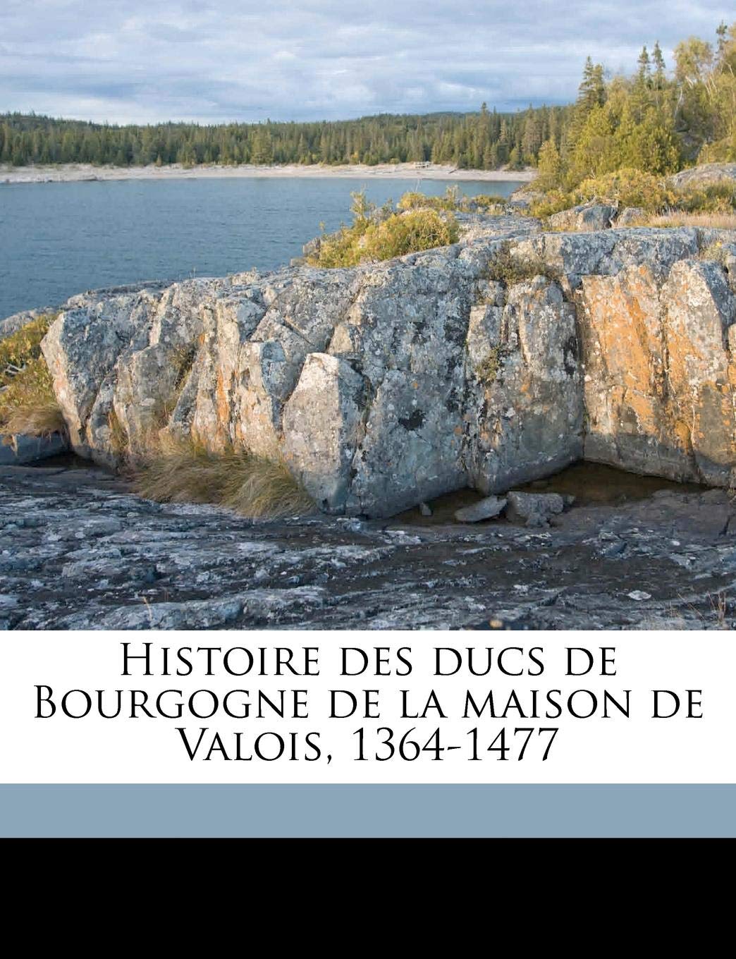 Histoire Des Ducs De Bourgogne De La Maison De Valois 1364 1477