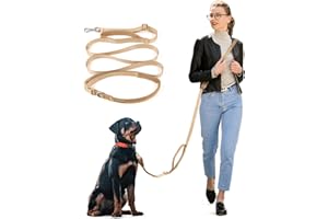 Wisedog 16 FT Hands Free Dog Leash, Comfort and Safety Padded Handle & Heavy Duty Metal Clasp - Two Handle Dog Leash Adjustable Lengths for Walking Training Running (Sand Color)