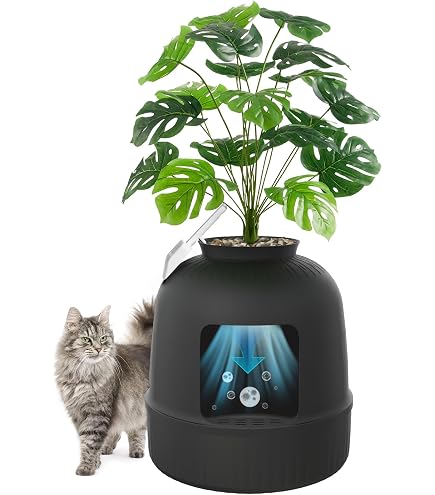 Petmate Booda Dome Clean Step Cat Litter Box 3 Colors, Titanium : Amazon.ca:  Pet Supplies