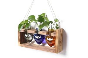 Plant Terrarium Propagation Stations Hydroponics Home Garden Decoration Gift for Women with Wooden Stand Heart Shaped Colored