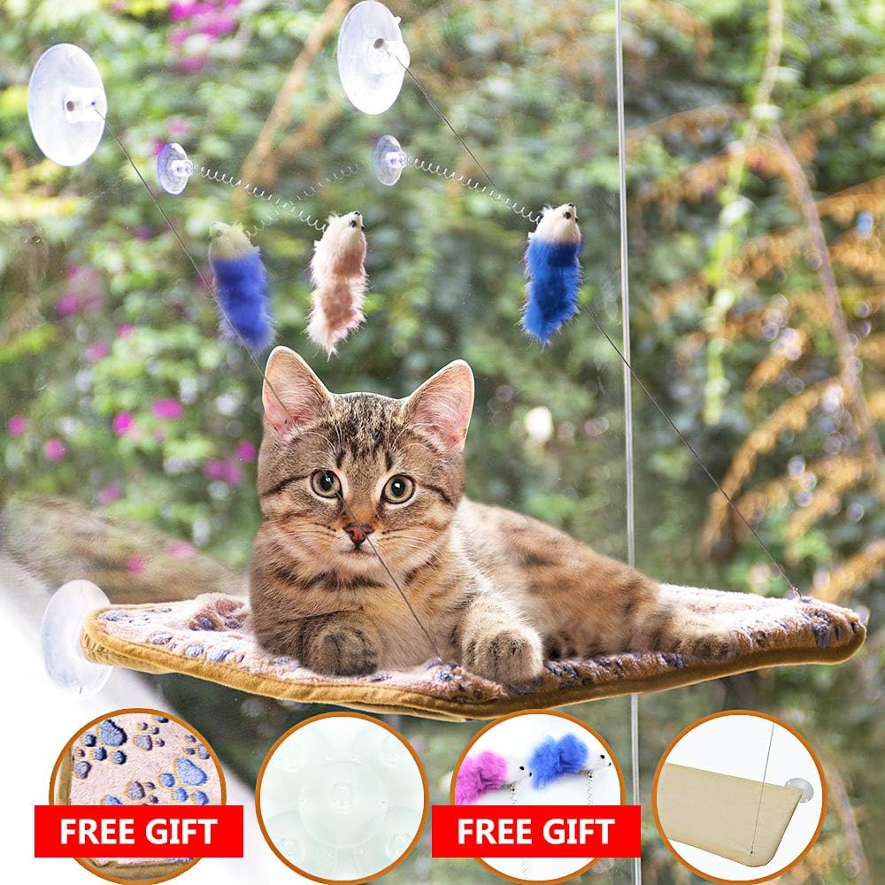 Best cat car hammock window