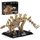Nifeliz Stegosaurus Fossils Model Set, Dinosaur Skeleton Building Set with Display Base for Adults, Ideal Gift for Enthusiast
