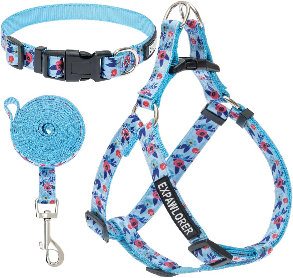 Pet Supplies : EXPAWLORER No Pull Dog Harness and Leash Set with Collar - Heavy Duty & Adjustable Basic Harness for Small Medium Dogs & Cats : 