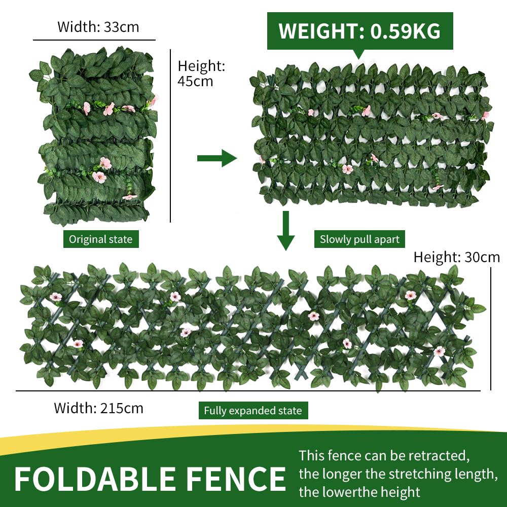 View 4